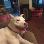 Justin Petway - Facebook