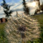 Justin Pfaff - @justin_pfaff - Instagram