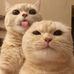 Justin Pham - Facebook