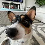 justin pham - @justin_pham0 - Instagram