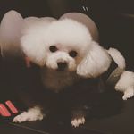 Justin Phan - @jusstin_phan - Instagram