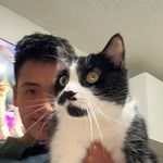Justin Phan - @justhinphan - Instagram