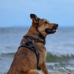 Justin Philipp - @justin_philipp_fotografie - Instagram