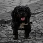 Justin Philipp Röthe - @justin_philipp_ - Instagram