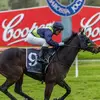 PickeringRacing - @justinpickering0 - TikTok