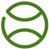 pickleballbyjustin - @pickleballbyjustin - TikTok