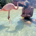 Justin pillado - @justinpillado - Instagram