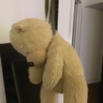 Justin Pilon - @banana_guoy - Instagram
