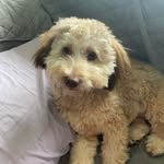 Justin Pippin - @justinp0913 - Instagram