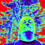 Justin Plum - @justinplm - Instagram