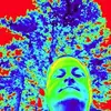 Justin Plum - @justinplum - TikTok