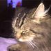 Justine Plunkett - Facebook