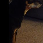 Justin poling - @justinpoling5 - Instagram