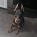 Justin Ponte - Facebook
