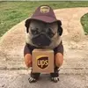 justin rager - @justin.rager4 - TikTok