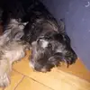 ramonjustin1 - @ramonjustin12 - TikTok