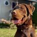 Justin Ramsden - Facebook
