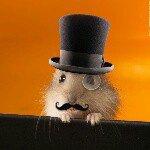 Justin Rash - @justinisahamster - Instagram