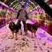 Justin Relyea - Facebook
