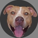 justin rendon - @victory_nap - Instagram