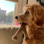 Justin Ridge - @justinaridge - Instagram