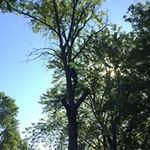 Justin Ries - @ries_justin - Instagram