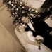 Justin Rittenhouse - Facebook