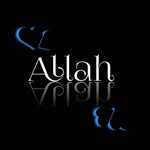 Justin Rohan - @justin_rohan.02 - Instagram