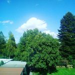 Justin.Rolfes - @justin.rolfes6 - Instagram
