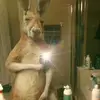 Justin Romo - @justin.romo76 - TikTok
