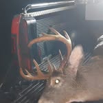 Justin Rossiter - @justin.rossiter.37 - Instagram