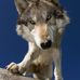 Justin Ruth - Facebook