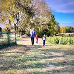 Justin Rutter - @justinrutterme - Instagram