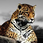 Justin Ryals - @justin721 - Instagram