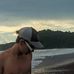 Justin Saenz - Facebook