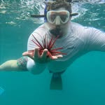 Justin Sanger - @jsanger5 - Instagram