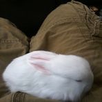 Justin Sappington - Facebook