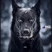 Justin Scheer - Facebook
