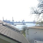 Justin - @justin.schefflert - Instagram