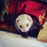 Justin scheffler - @scheffler6754 - Instagram