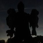 Justin Schick - @justin.schick - Instagram
