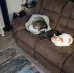 Justin Schilling - Facebook