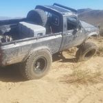 Justin Schilling - @bird_built14 - Instagram
