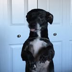 Justin Schowalter - @justinschowalter - Instagram