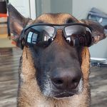Justin Schumann - @shoebro80 - Instagram