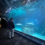 Justin Schumann - @justin_schu - Instagram