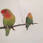 Justin-scully - @justinscully8550 - Instagram