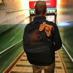 Justin Seale - @findingfutura - Instagram