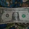 jaymoney5781 - @justensedlock - TikTok