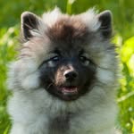 Justin Seidel - @justin.seidel.969 - Instagram